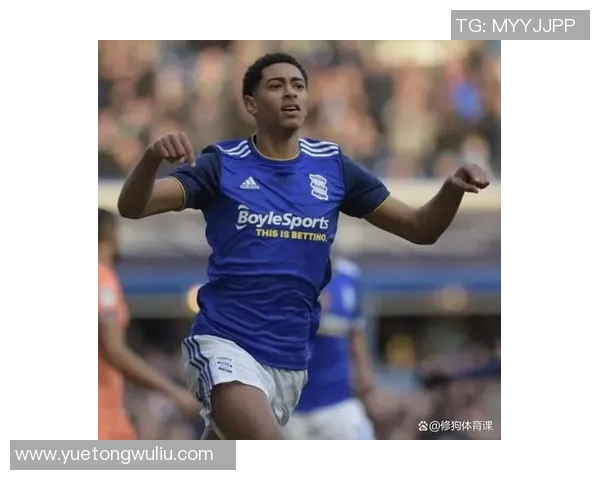 英国足球明星女球员头像欣赏与她们的精彩瞬间回顾