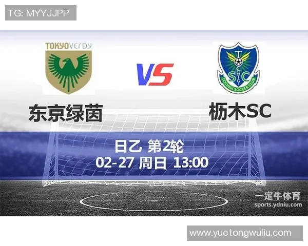 梳球对阵枥木SC精彩回顾与分析揭示比赛背后的战术博弈与球员表现